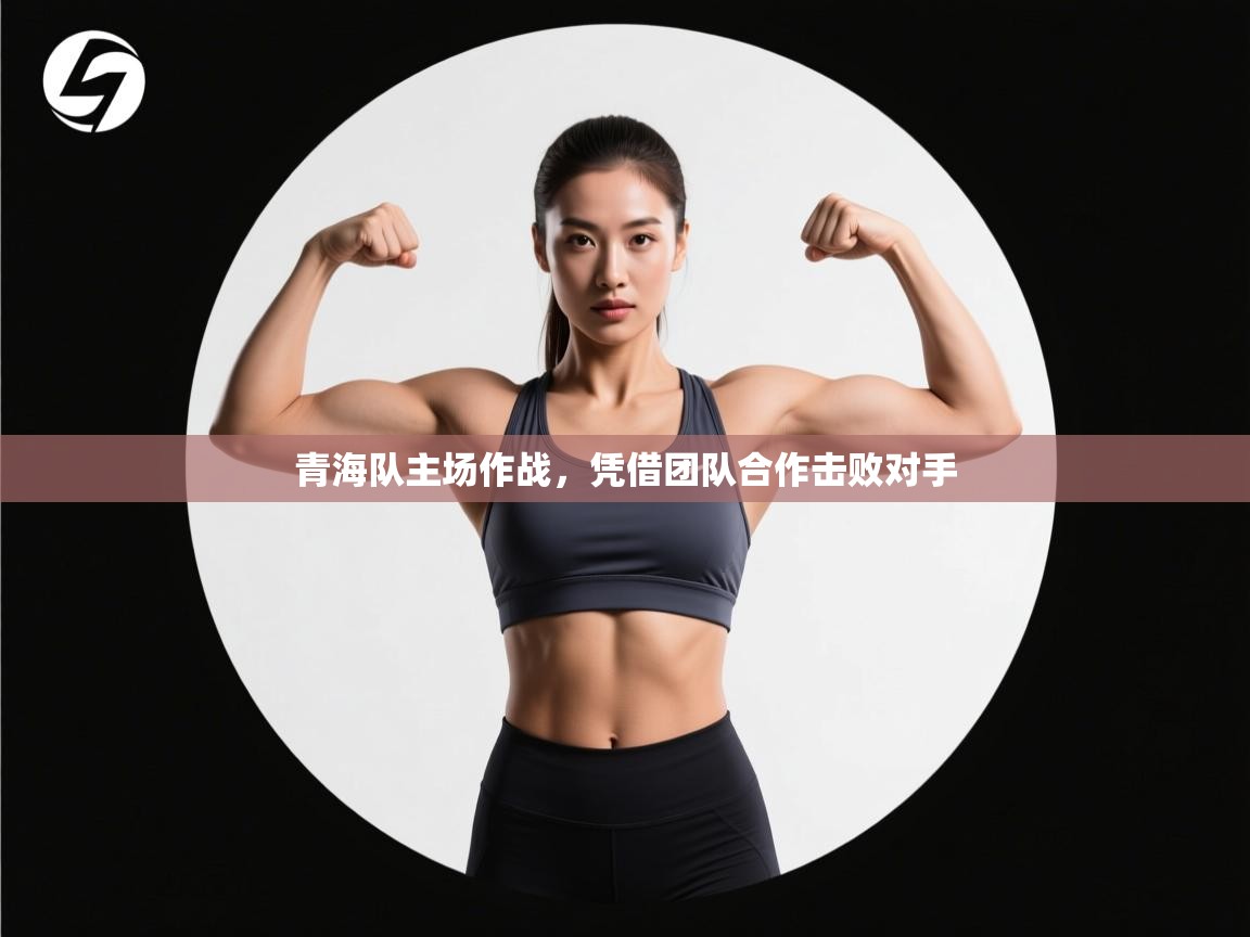青海队主场作战，凭借团队合作击败对手  第1张