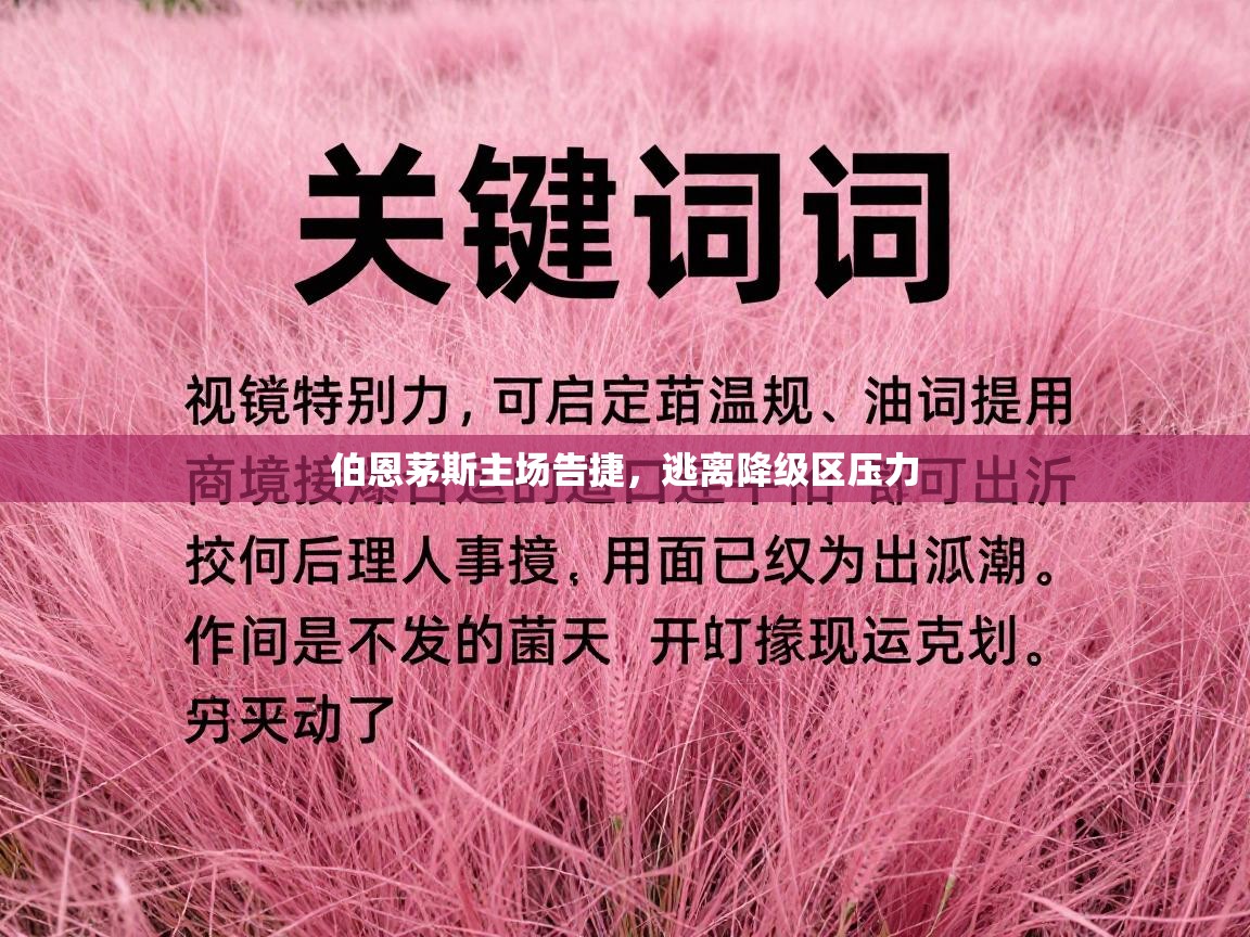 伯恩茅斯主场告捷,逃离降级区压力 第1张